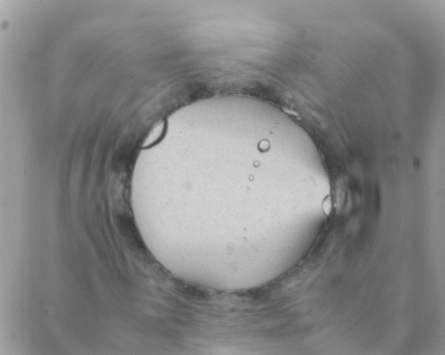 X0000089431059200707061338