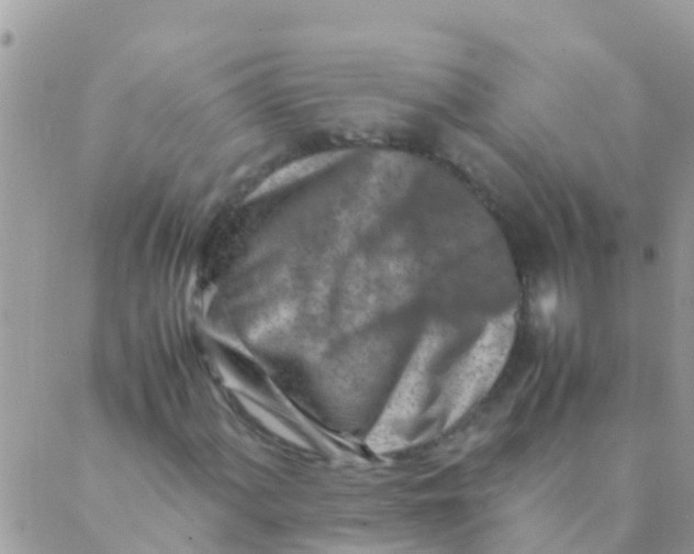 X0000089431060200707061338