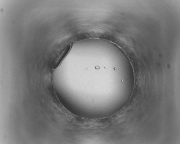 X0000089431061200707061338