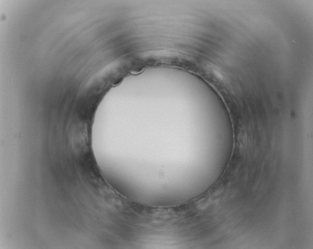 X0000089431062200707061338