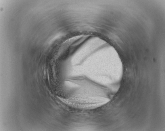 X0000089431063200707061338