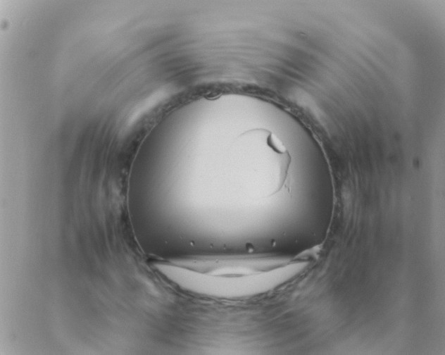 X0000089431064200707061338