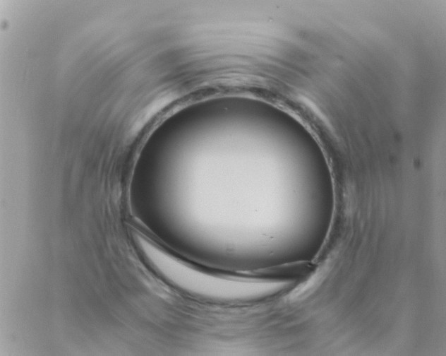 X0000089431065200707061338