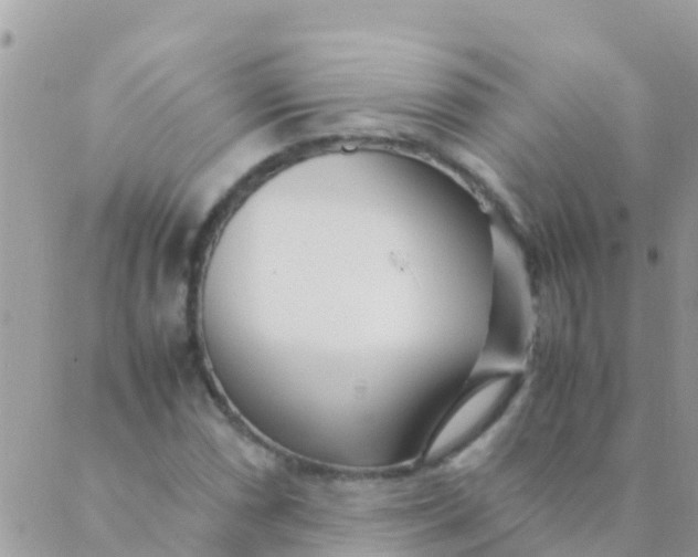 X0000089431066200707061338