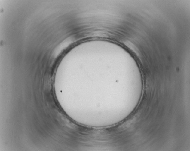 X0000089431067200707061338