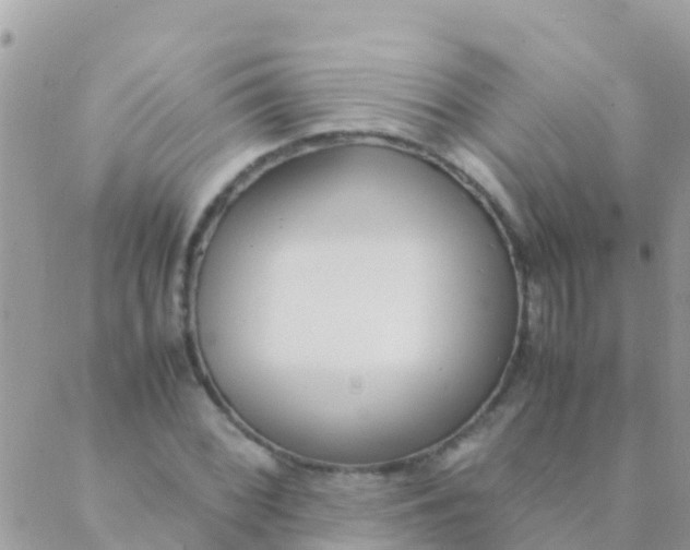 X0000089431068200707061338