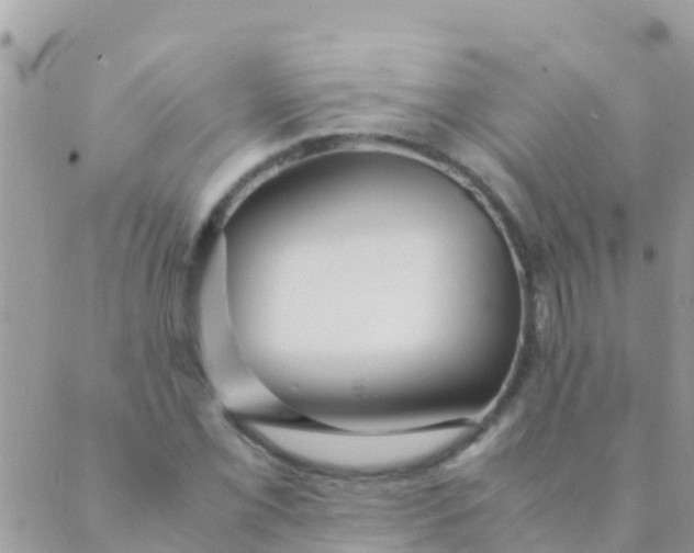 X0000089431069200707061338