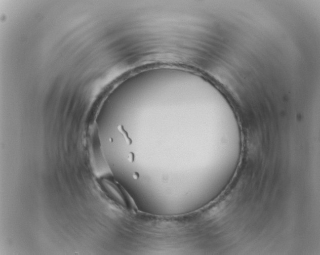 X0000089431070200707061338