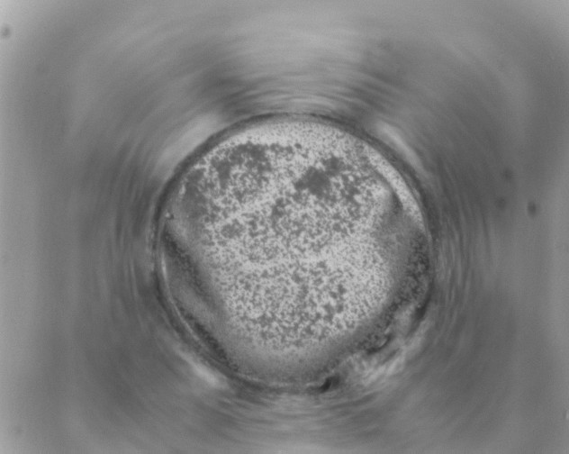 X0000089431071200707061338