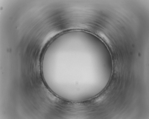 X0000089431072200707061338