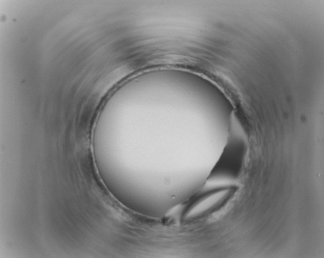 X0000089431073200707061338