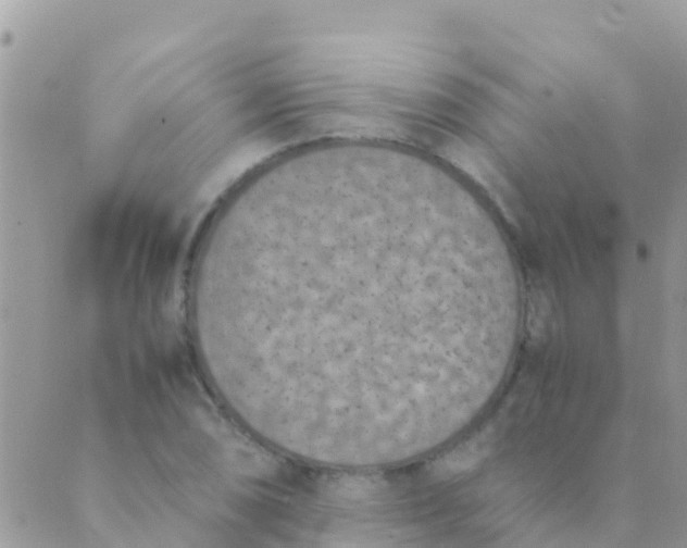 X0000089431074200707061338