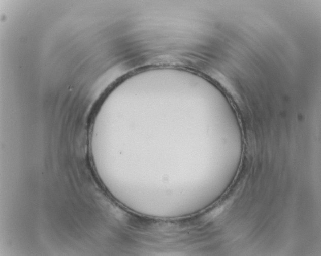 X0000089431075200707061338