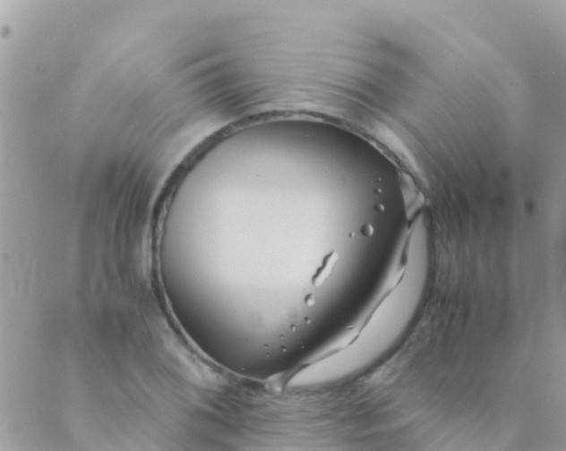 X0000089431076200707061338