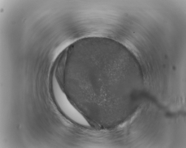 X0000089431077200707061338