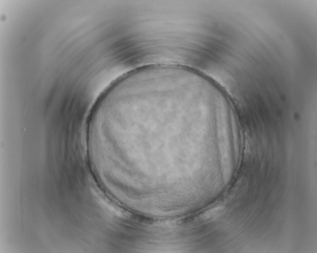 X0000089431078200707061338