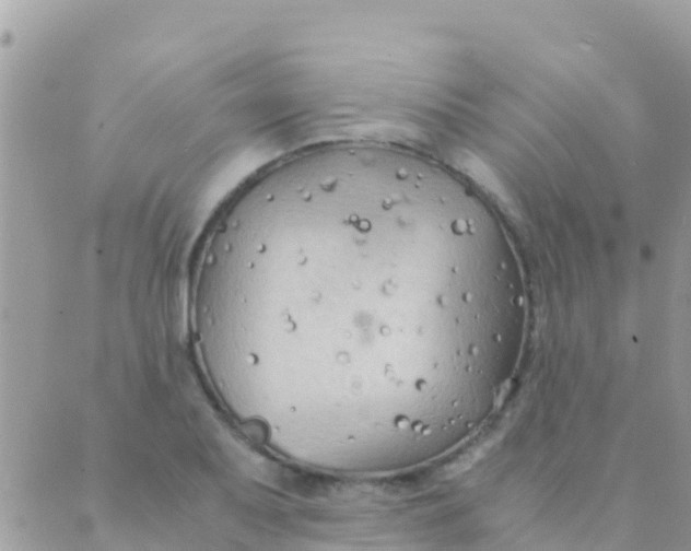 X0000089431079200707061338