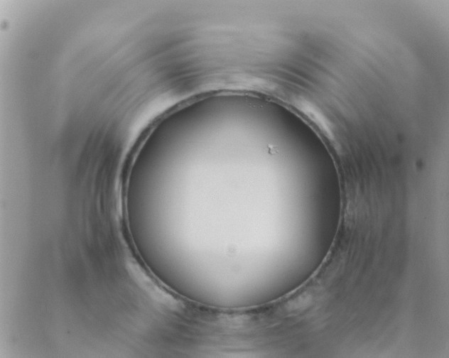 X0000089431080200707061338