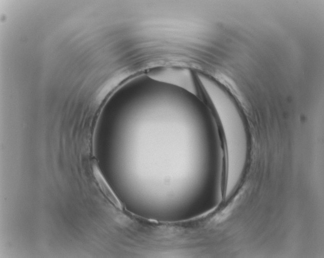 X0000089431081200707061338