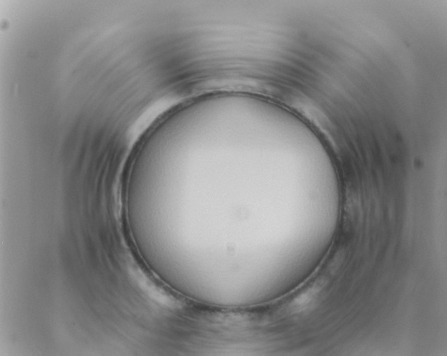 X0000089431082200707061338