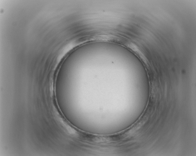 X0000089431083200707061338