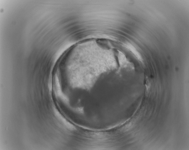 X0000089431084200707061338