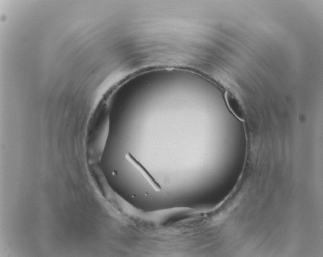 X0000089431085200707061338