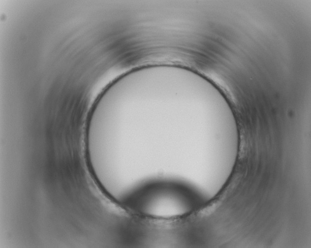 X0000089431086200707061337