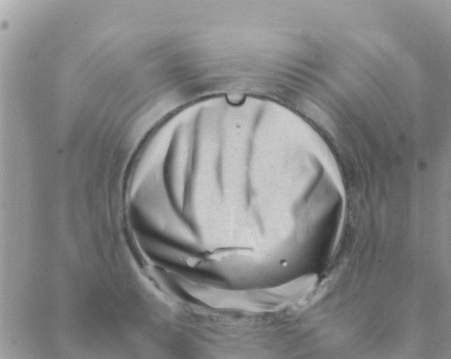 X0000089431087200707061337