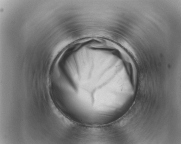 X0000089431088200707061337