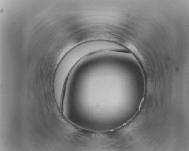 X0000089431089200707061337