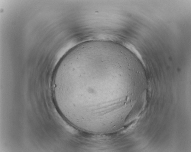 X0000089431091200707061337