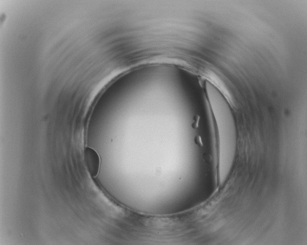 X0000089431092200707061337