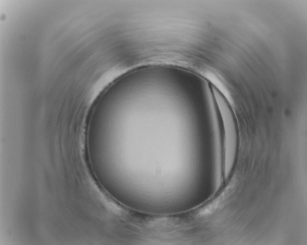 X0000089431093200707061337