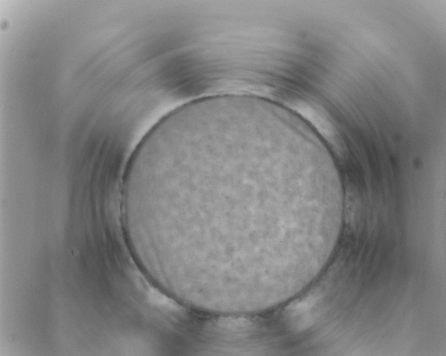 X0000089431094200707061337