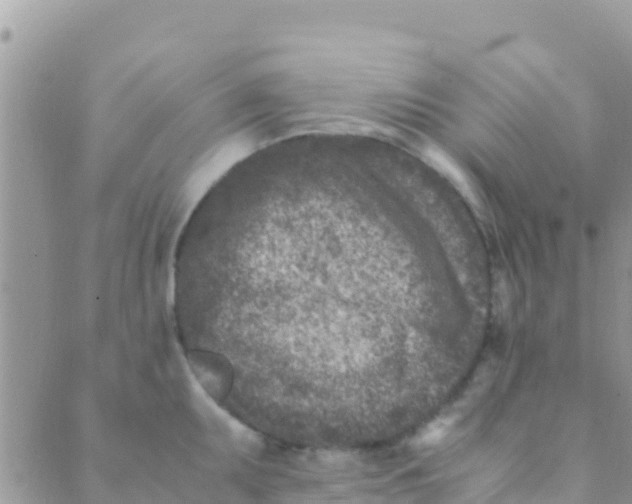 X0000089431095200707061337