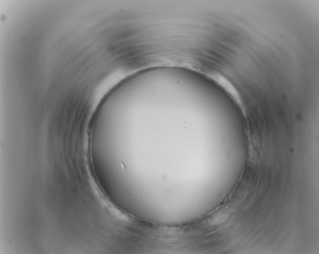 X0000089431096200707061337