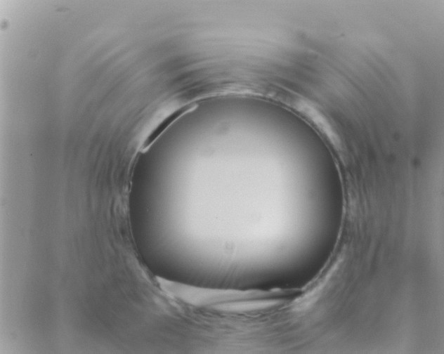 X0000089431097200707061337