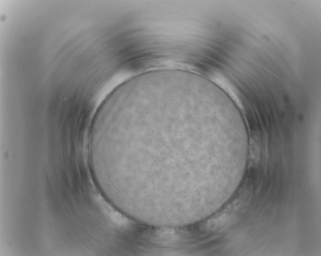 X0000089431098200707061337