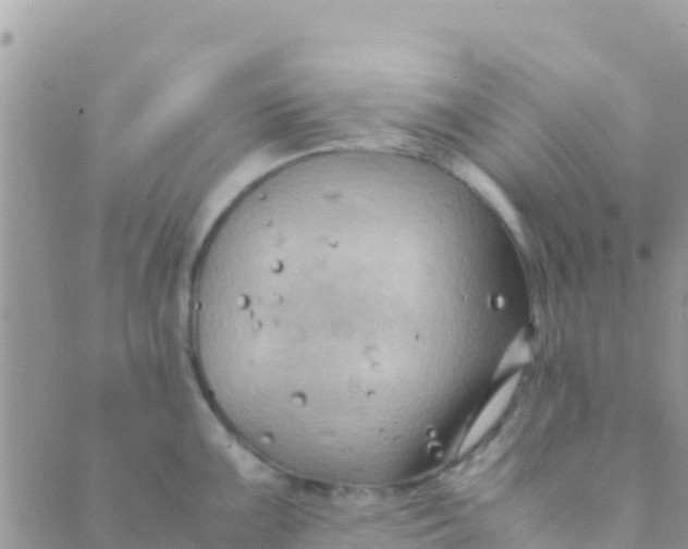 X0000089431099200707061337