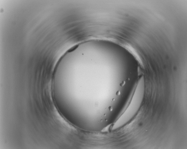 X0000089431100200707061337