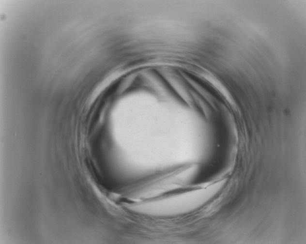 X0000089431101200707061337