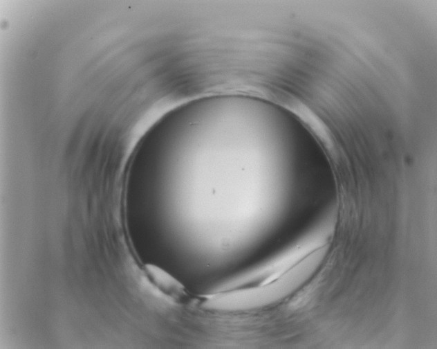 X0000089431102200707061337