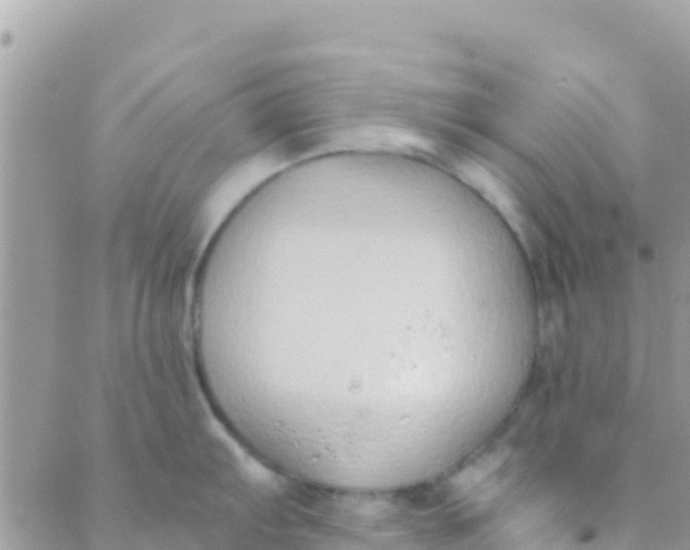 X0000089431103200707061337