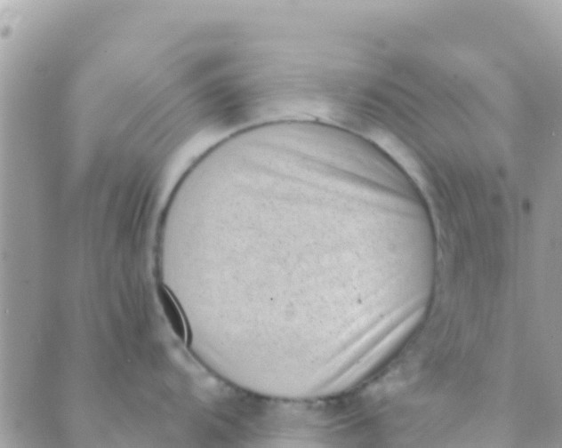 X0000089431104200707061337