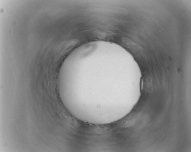 X0000089431105200707061336