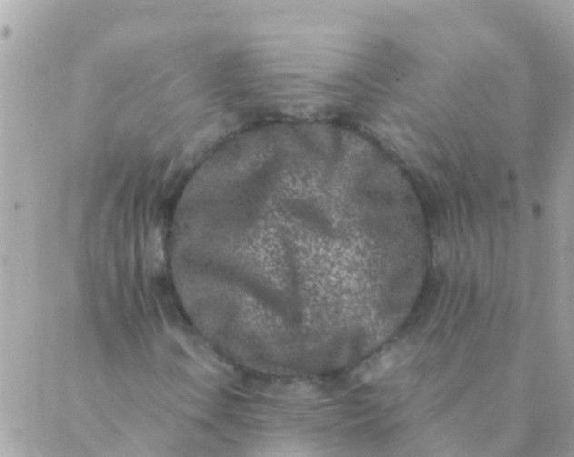 X0000089431106200707061336