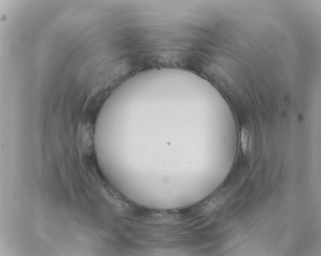 X0000089431107200707061336