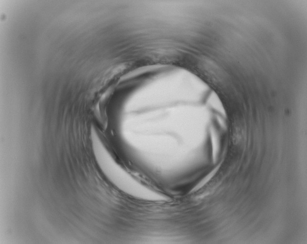 X0000089431108200707061336