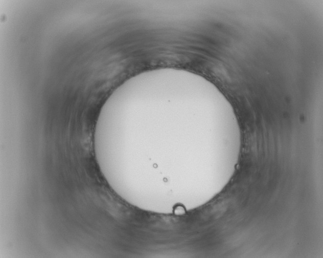 X0000089431109200707061336